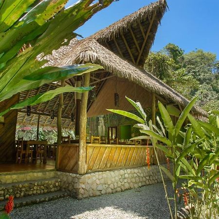 Esquinas Rainforest Lodge โกลฟิโต ภายนอก รูปภาพ