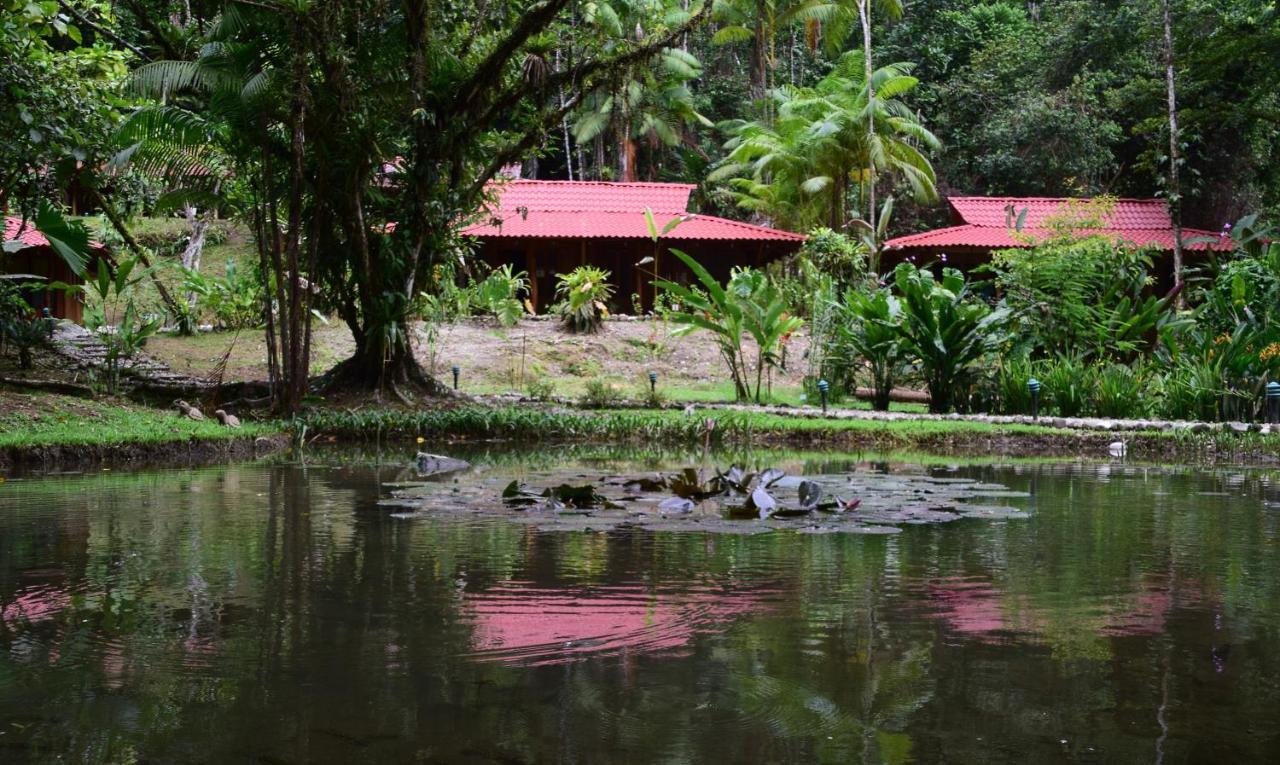 Esquinas Rainforest Lodge โกลฟิโต ภายนอก รูปภาพ