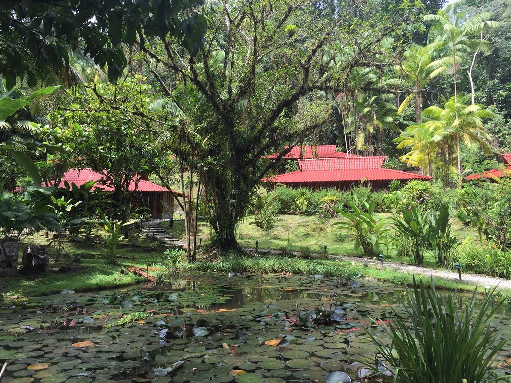 Esquinas Rainforest Lodge โกลฟิโต ภายนอก รูปภาพ