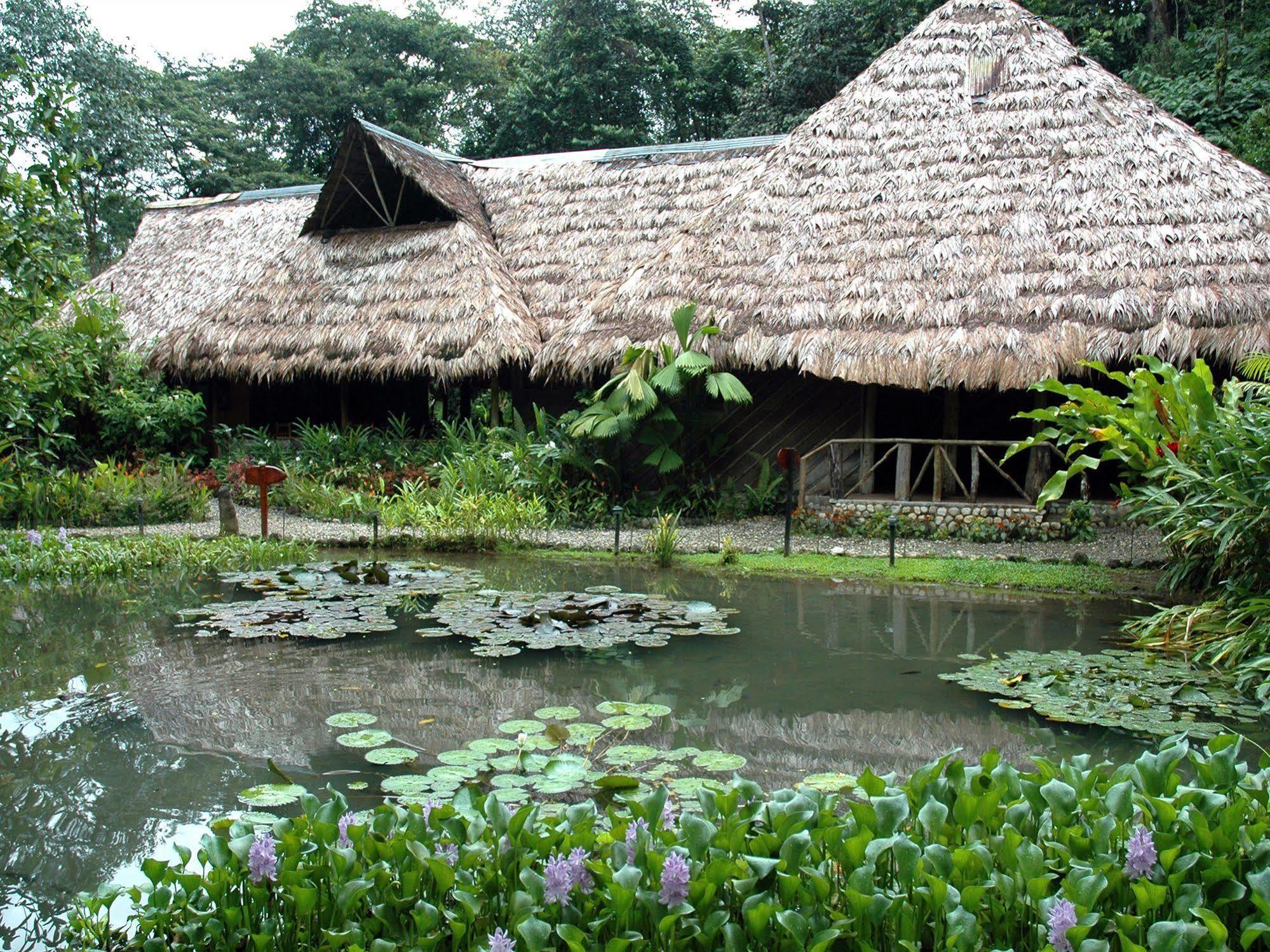 Esquinas Rainforest Lodge โกลฟิโต ภายนอก รูปภาพ